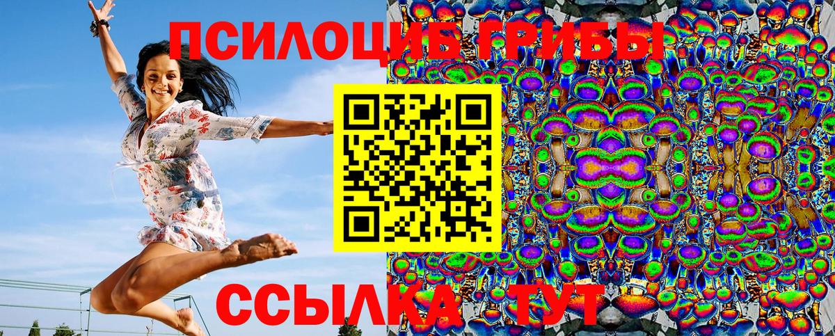 Галлюциногенные грибы мухоморы Скопин
