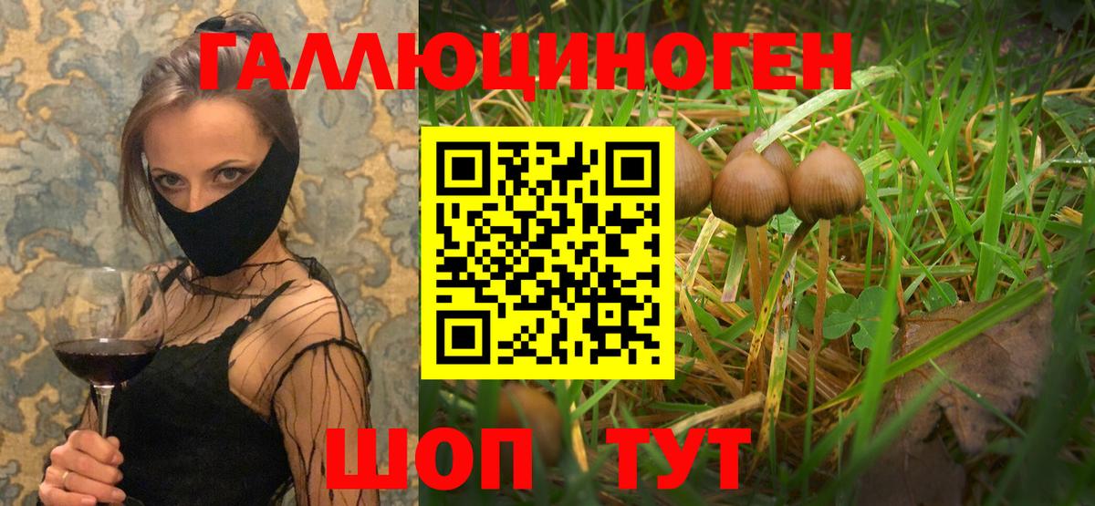 Скопин  Псилоцибиновые грибы прущие грибы  Вход с VPN 